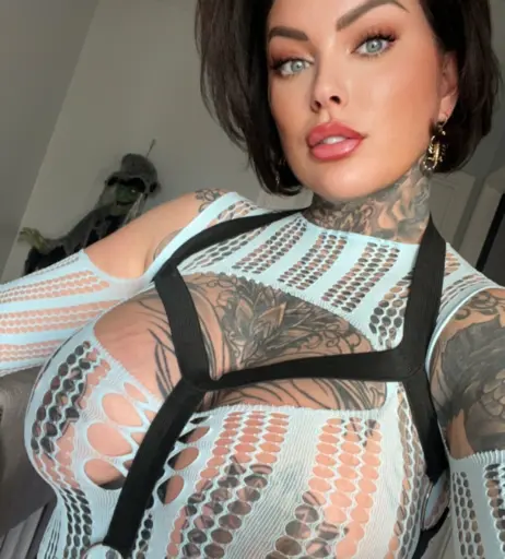 Image 4212636 from Donna Wildcard