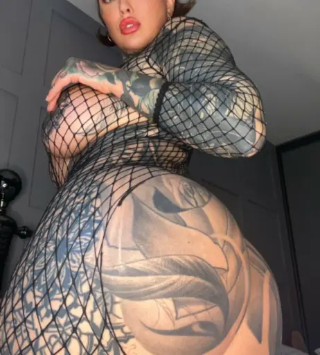 Image 4213956 from Donna Wildcard