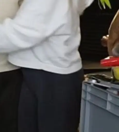 Image 4210601 from Mashabk