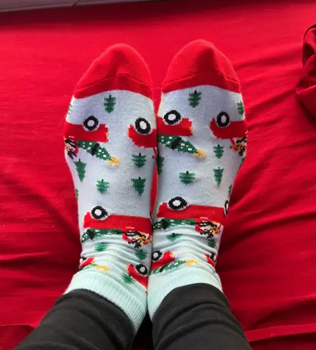 Image 4202440 from Sizeelevens