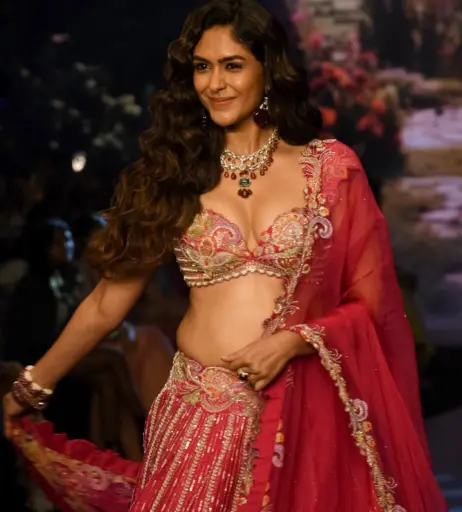 Image 4396903 from Mrunal Thakur