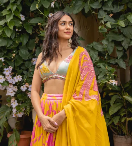 Image 4397283 from Mrunal Thakur