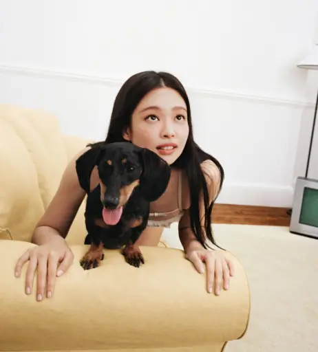 Image 4394149 from Jennie | BLΛƆKPIИK (Blackpink)