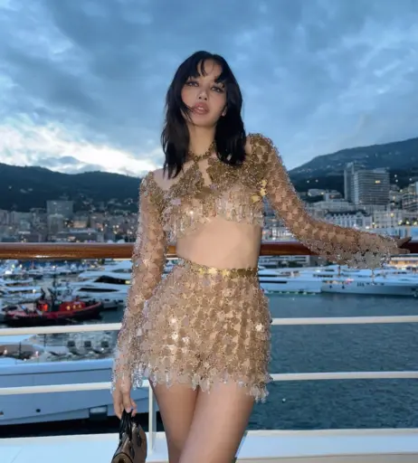 Image 4394073 from Lisa | BLΛƆKPIИK (Blackpink)