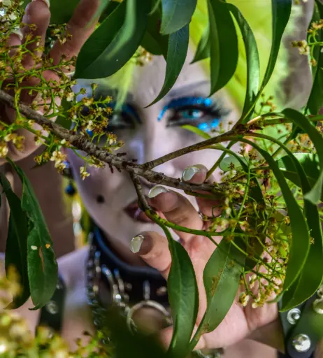 Image 4393175 from AEW Abadon