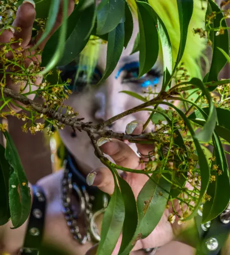 Image 4393065 from AEW Abadon