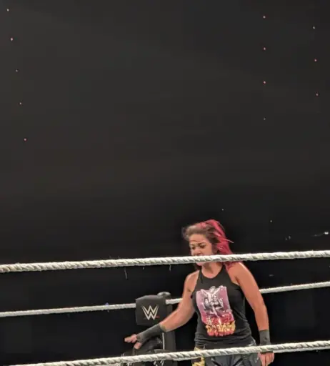Image 4390595 from WWE Bayley / Davina Rose / Pamela Rose Martinez
