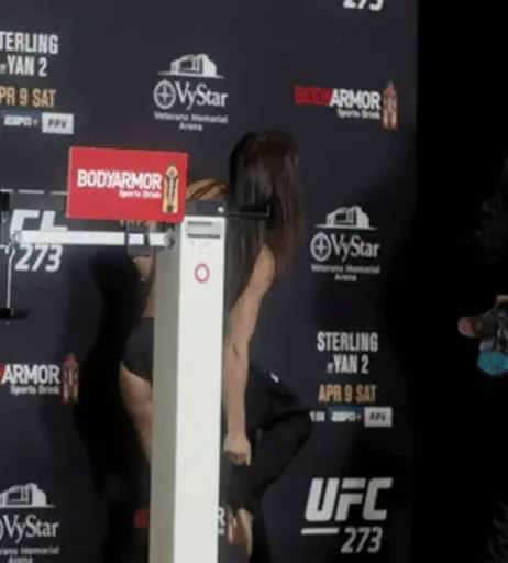 Image 4390475 from Women of UFC &amp; MMA