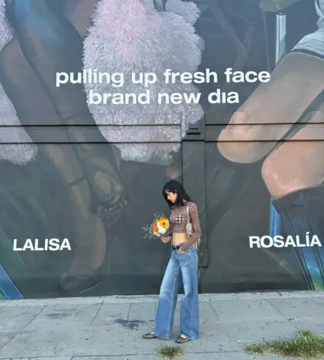 Image 4399807 from Lisa | BLΛƆKPIИK (Blackpink)
