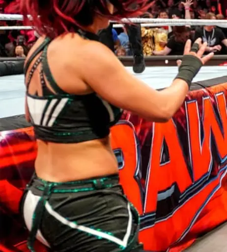 Image 4381646 from WWE Bayley / Davina Rose / Pamela Rose Martinez