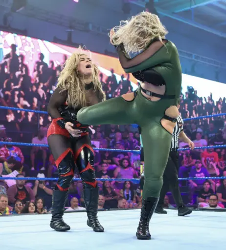 Image 4381020 from WWE Nikkita Lyons