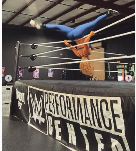 Image 4383575 from WWE Nikkita Lyons