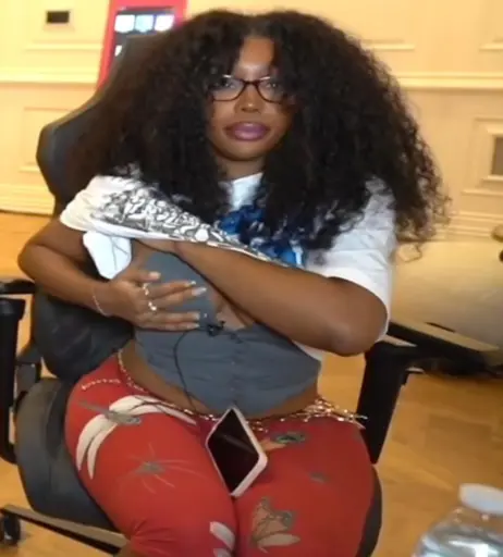 Image 4380166 from SZA | Solana Rowe