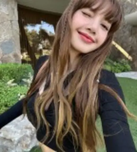 Image 4375405 from Lisa | BLΛƆKPIИK (Blackpink)