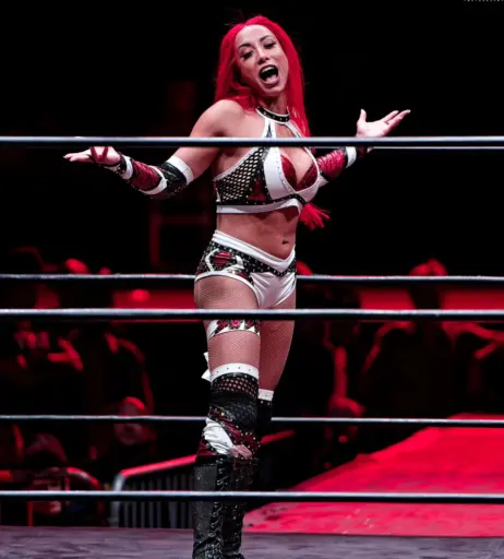 Image 4377706 from AEW Leila Grey