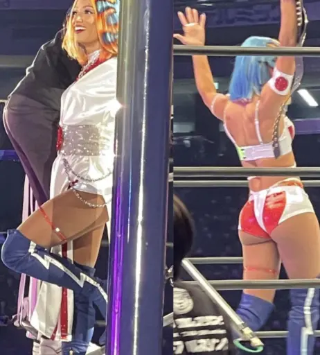 Image 4377172 from WWE Sasha Banks | Mercedes Moné
