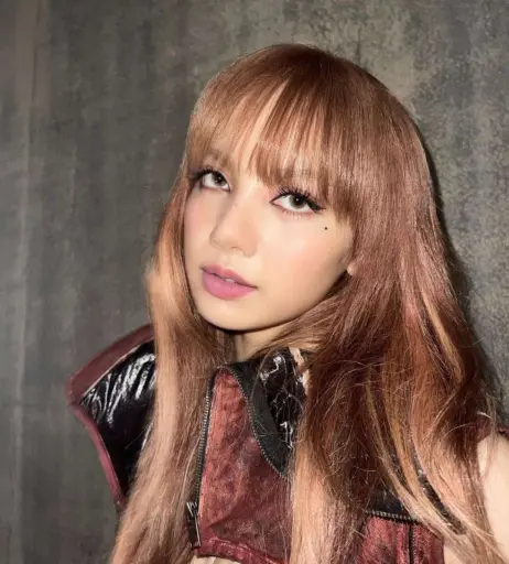Image 4371087 from Lisa | BLΛƆKPIИK (Blackpink)