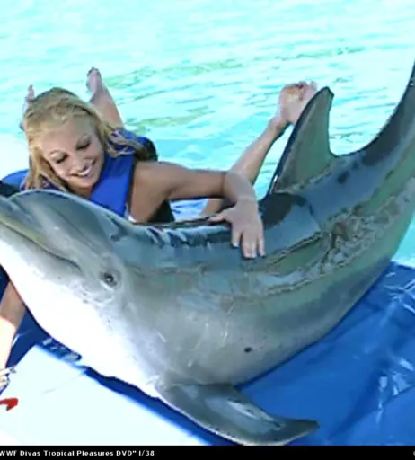 Image 4373527 from WWE Trish Stratus