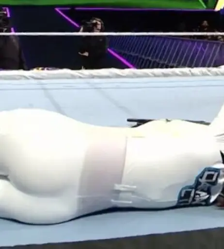 Image 4373955 from WWE Bayley / Davina Rose / Pamela Rose Martinez