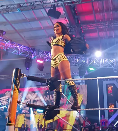 Image 4378540 from Roxanne Perez/Rok-C - WWE NXT