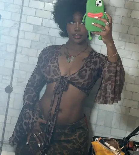 Image 4378285 from SZA | Solana Rowe