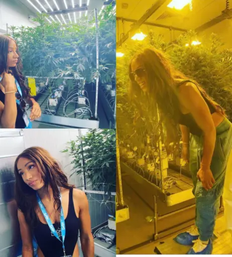 Image 4366789 from WWE Sasha Banks | Mercedes Moné