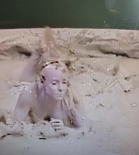 Image 4367553 from WWE Trish Stratus