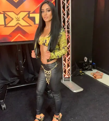 Image 4367673 from Aliyah WWE