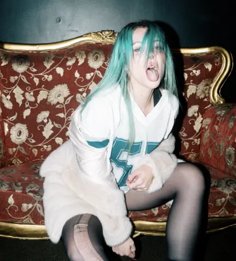 Image 4361508 from Alison Wonderland