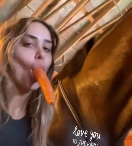 Image 4361719 from Aliyah WWE