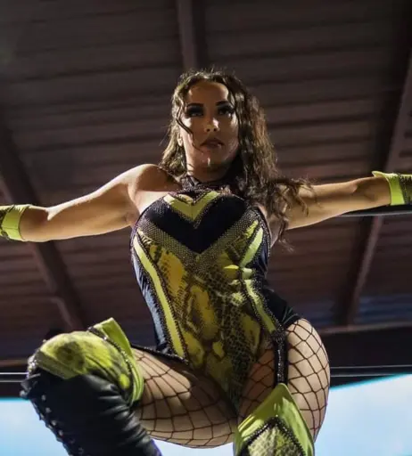 Image 4362568 from AEW Leila Grey