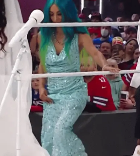 Image 4362426 from WWE Sasha Banks | Mercedes Moné