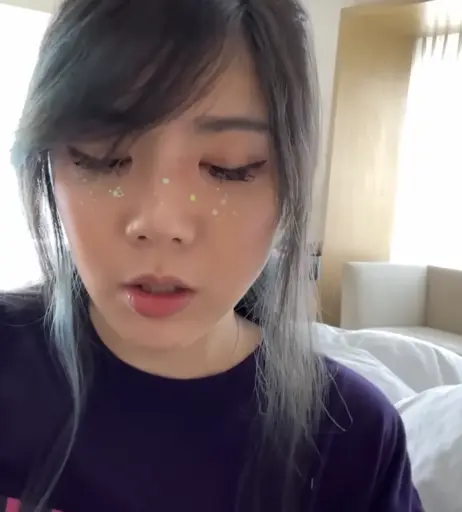 Image 4362260 from LilyPichu