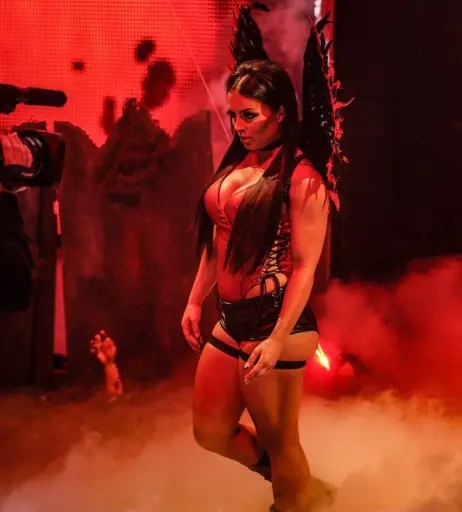 Image 4368452 from Women of Professional Wrestling