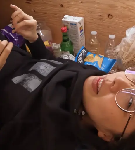 Image 4354786 from LilyPichu