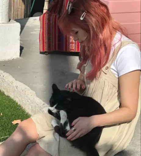 Image 4354109 from Shubble