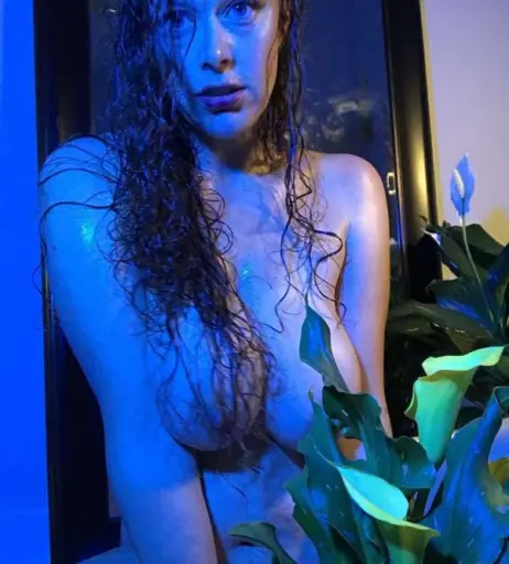 Image 434599 from Chantarra