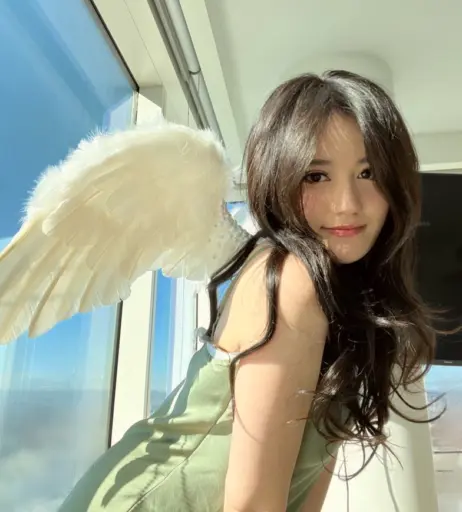 Image 4345908 from AngelsKimi (Plushys)