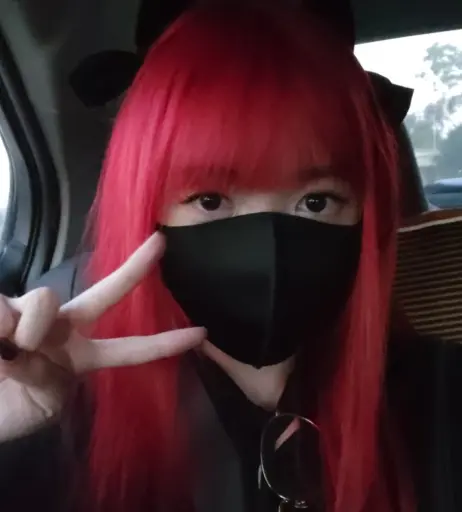 Image 4342839 from LilyPichu