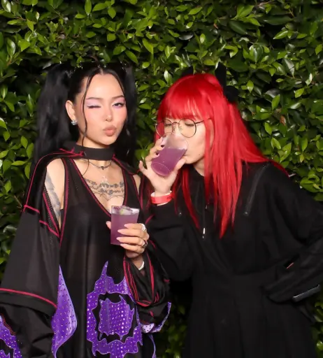 Image 4342936 from LilyPichu