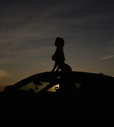 Image 4349161 from Sorabi