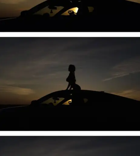 Image 4348781 from Sorabi