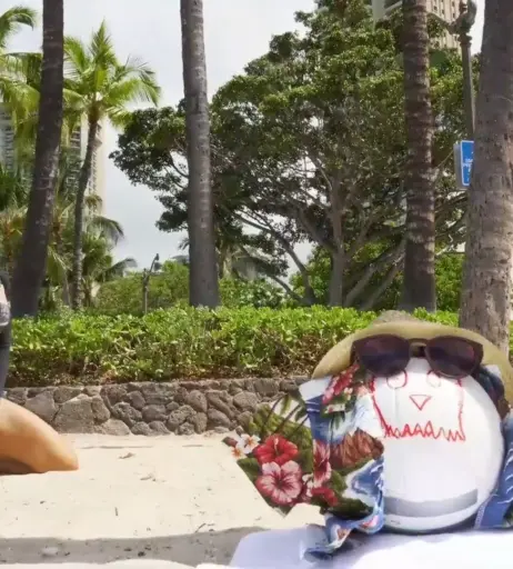 Image 4339562 from Soe Gschwind