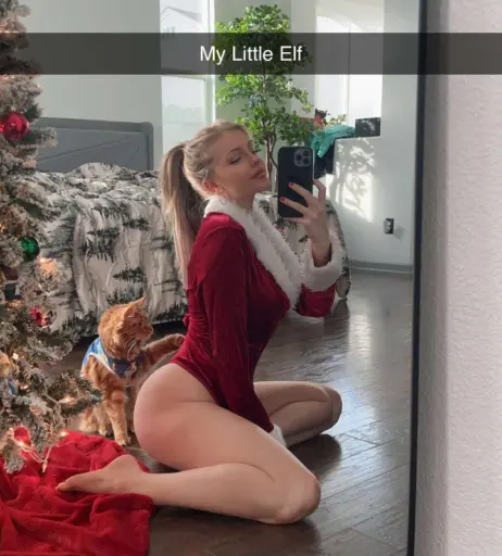 Image 4326843 from MSFIIIRE | Emily Taylor