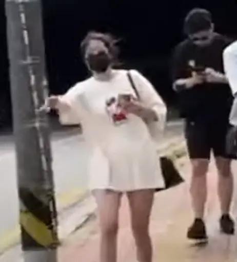 Image 4326676 from Fuslie (Leslie)