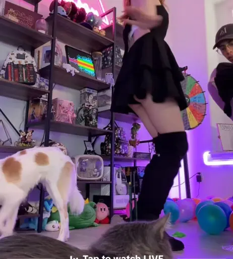 Image 4313169 from Lyssaurora