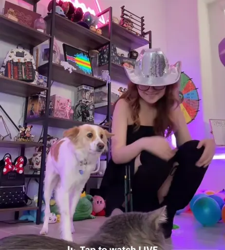 Image 4313087 from Lyssaurora