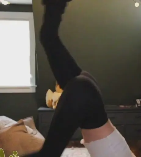 Image 4304368 from Morgan Cryer MorganCryer themorgancryer