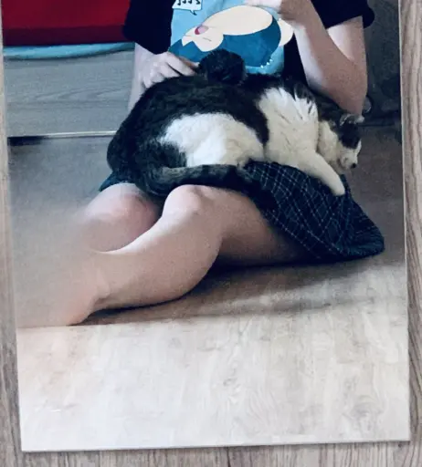 Image 4302620 from inislein