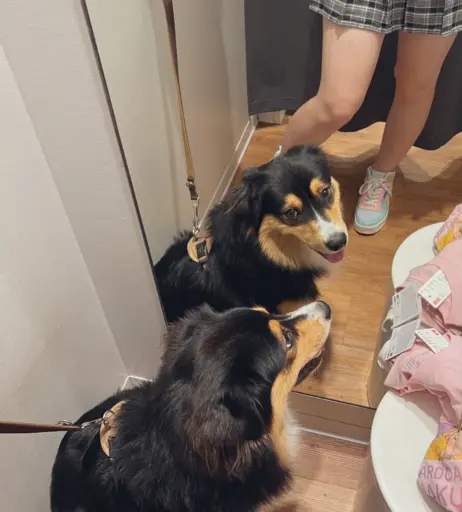 Image 4302381 from inislein